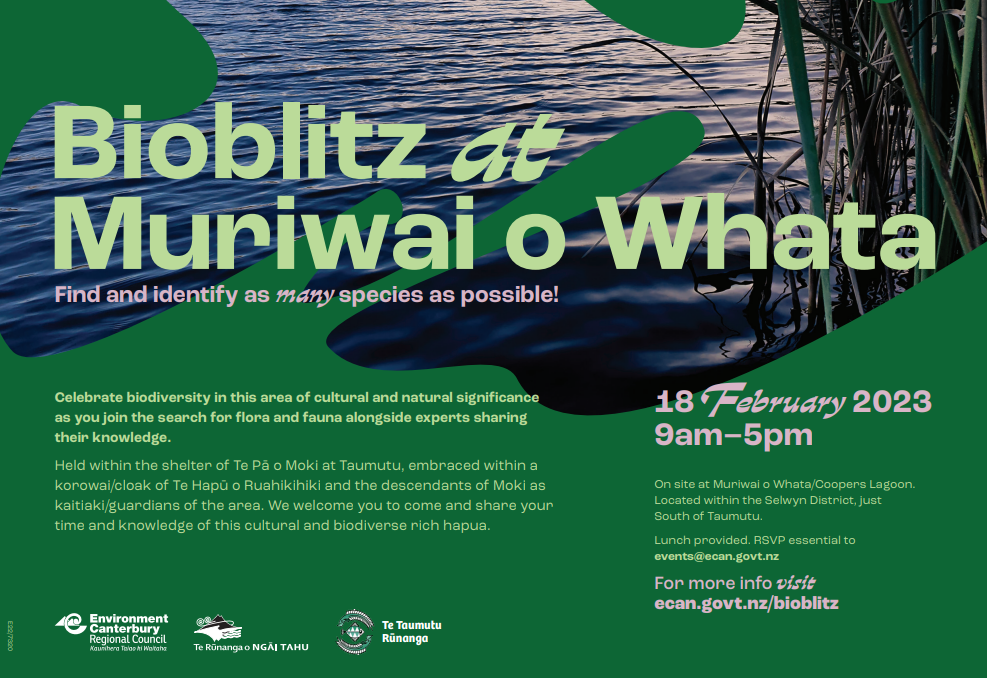 PLEASE JOIN US FOR OUR ANNUAL BIOBLITZ AT MURIWAI O WHATA - Te Taumutu ...